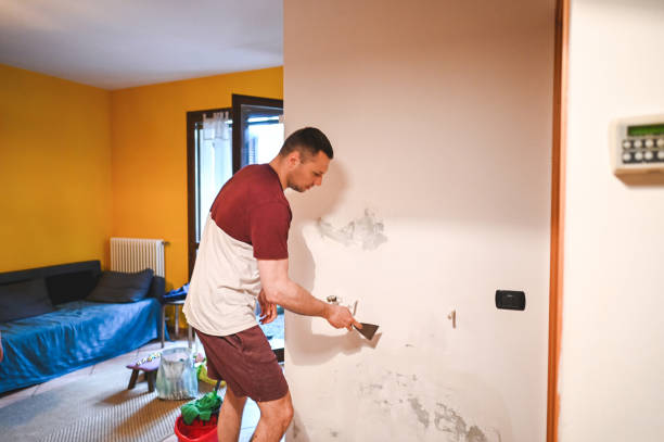 Best Commercial Mold Remediation in Twin Lakes, NM